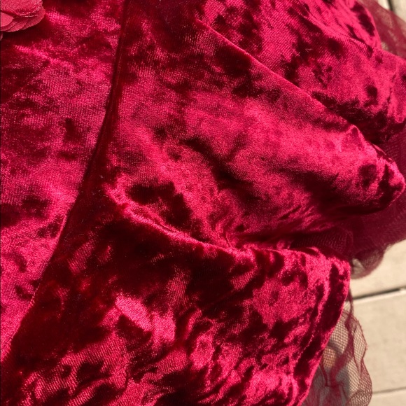 Disney belle Princess burgundy Velvet Dress - Picture 16 of 16